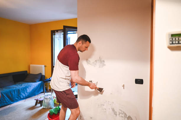 Best Toxic Mold Removal  in Twinsburg Heights, OH